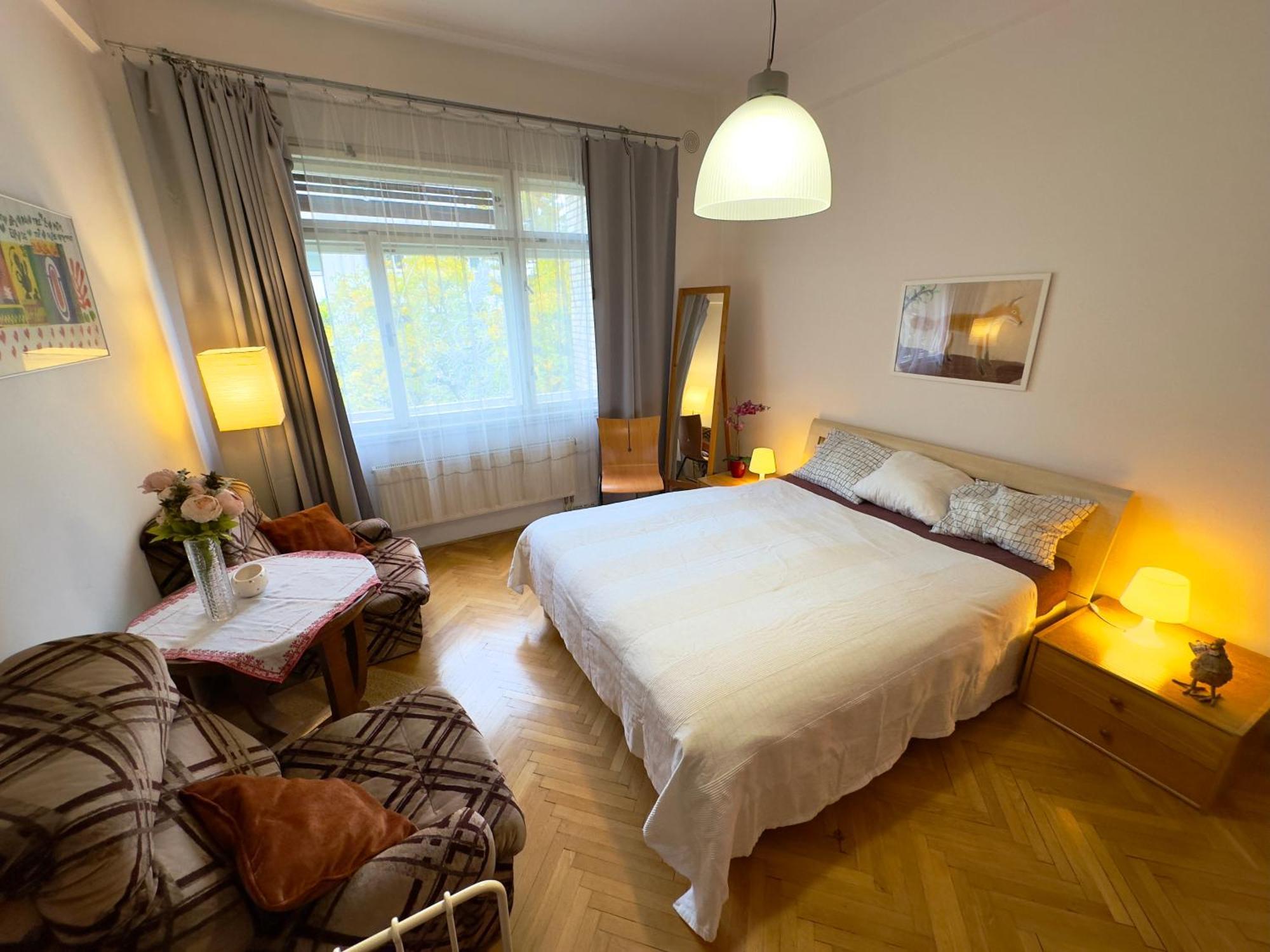 Sedlcanska - Will Save Money Here - Equipped With Antique Furniture Apartament *
