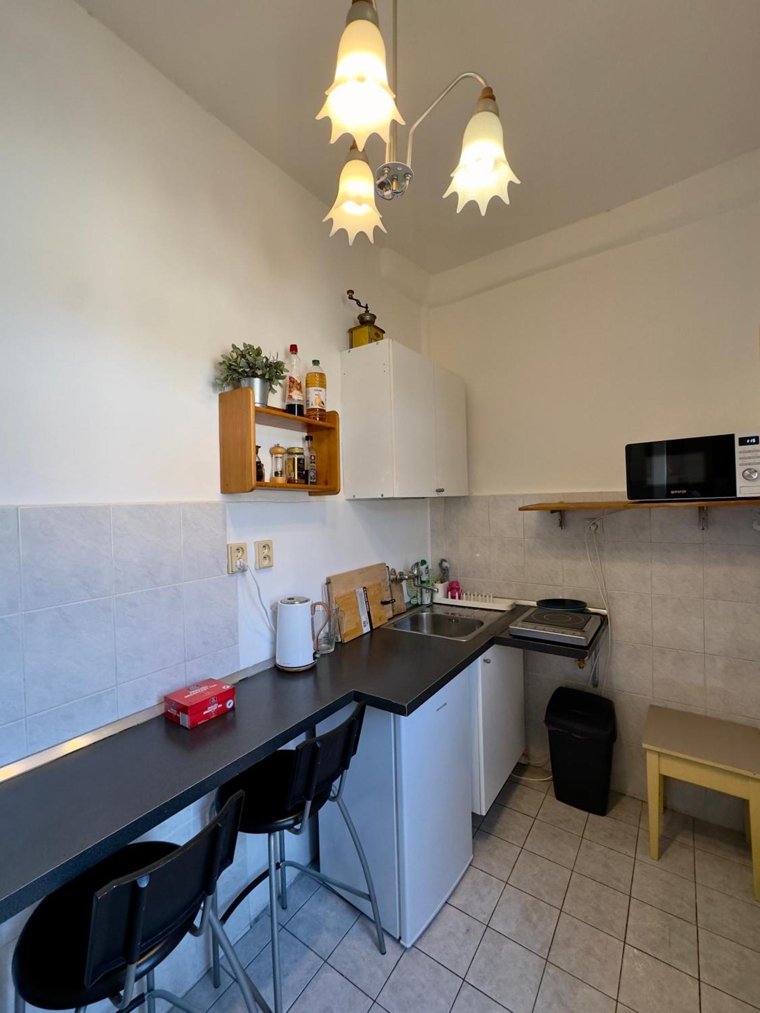 Apartament Sedlcanska - Will Save Money Here - Equipped With Antique Furniture Praga